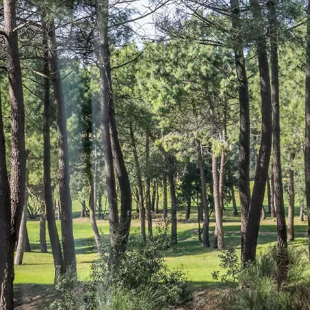 Villas La Palmyre